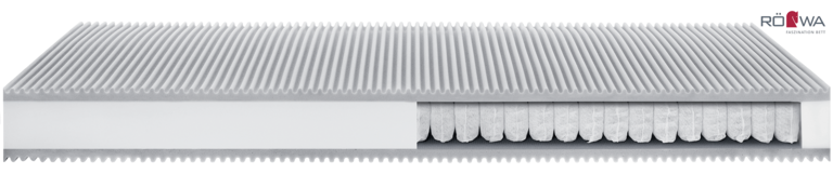 roewa_basic_T_kern_mit_Logo Kopie